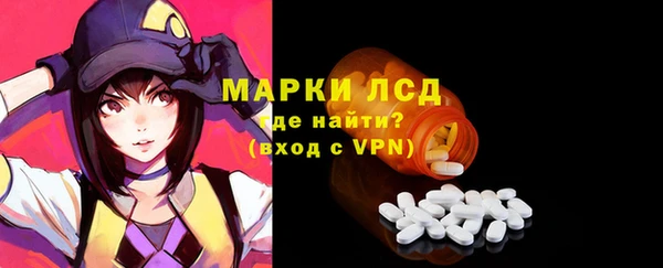 индика Волосово