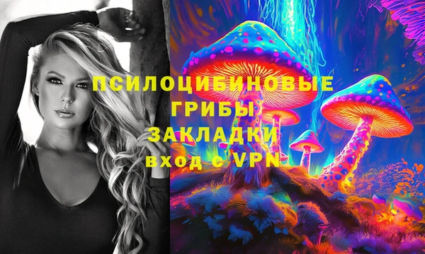 индика Волосово