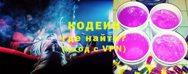 индика Волосово