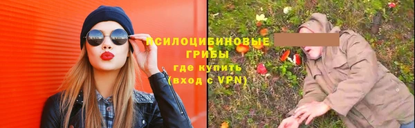 трава Верхний Тагил